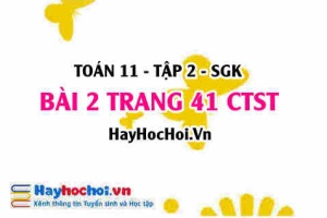 Bài 2 trang 41 Toán 11 tập 2 Chân trời sáng tạo